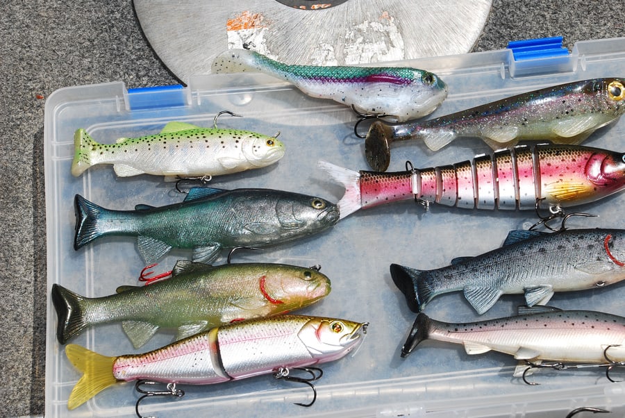 Best Bait & Lure Colors for Striped Bass Fishing - Freshwater