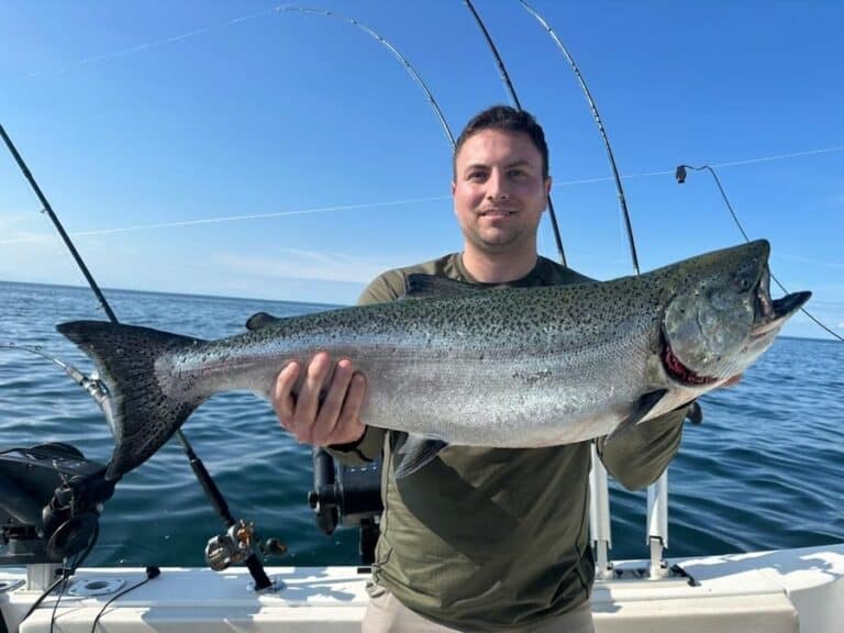 Best Times & Seasons to Fish in Toronto (Complete Guide)