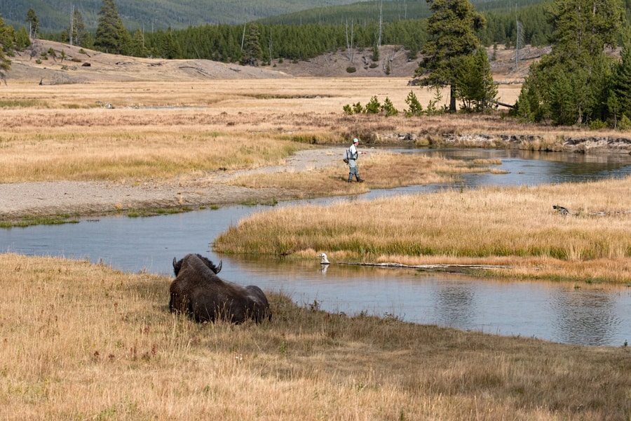 man fishing in yellowstone