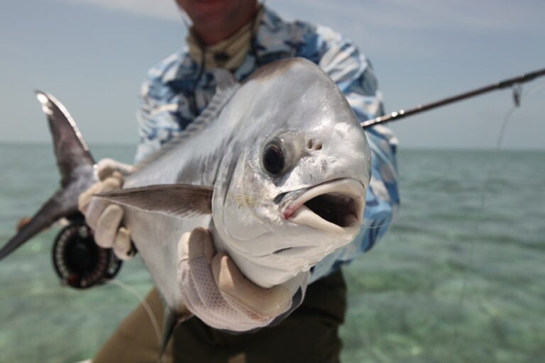 Best Times & Seasons to Catch Permit in Florida (Full Guide)