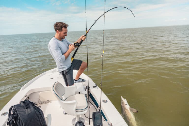 Best Times & Seasons to Catch Sharks in Texas (Full Guide)