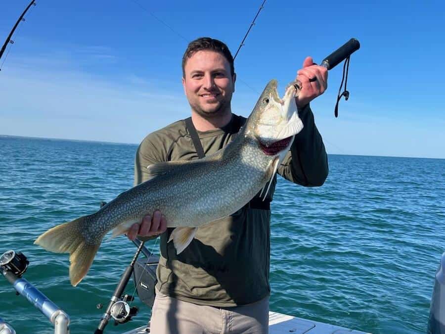 lake trout